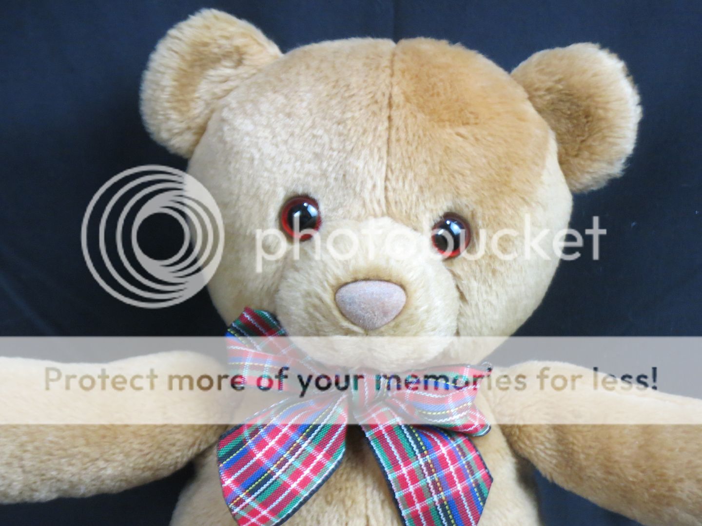 teddy bear with tie